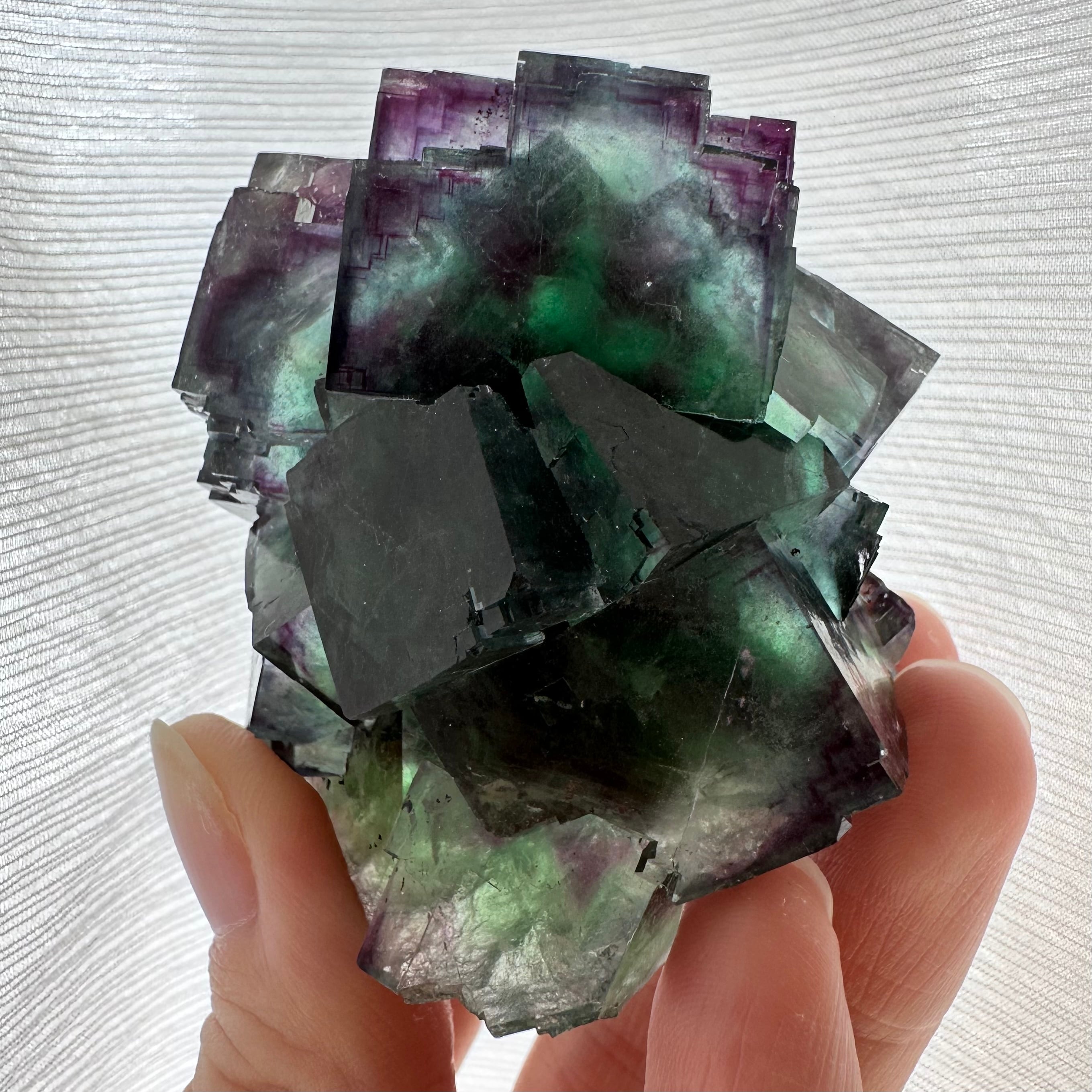 フローライト（デンドライト内包）【Fluorite / Dendritic inclusions