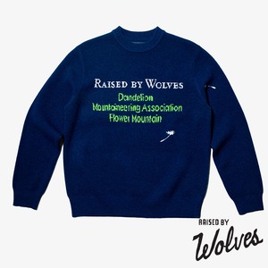 【RAISED BY WOLVES/レイズドバイウルブス】DMA INTARSIA SWEATER セーター / HEATHERED INDIGO / FW25-13527