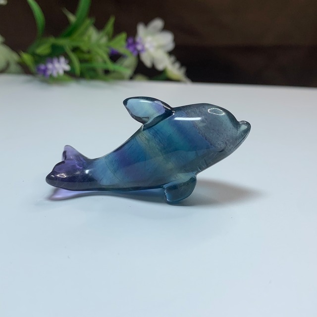 6.海のアニマル♪♪フローライトイルカ☆