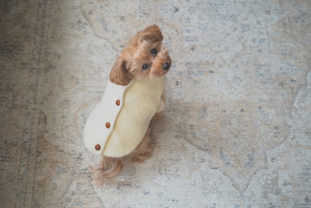 【テディーボアベスト】アウター/ ブラウン/ クリーム