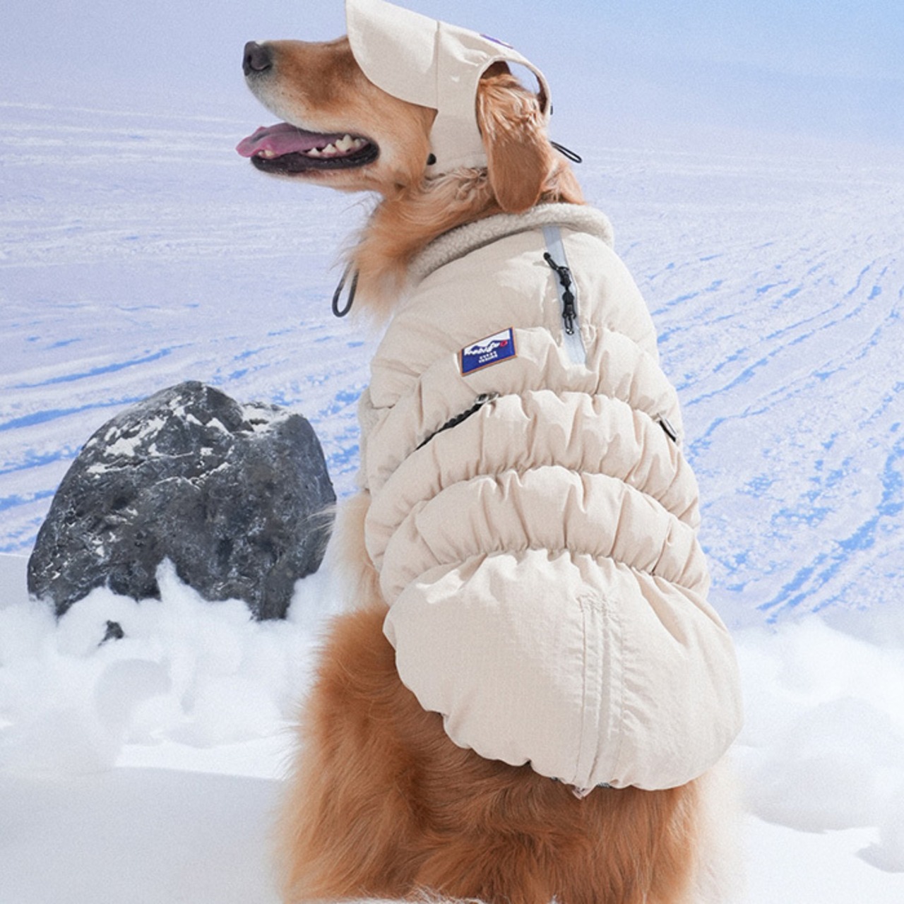 〈PUPPYGALLERY公式〉アイスフィールド カラーブロック パディング　2XL-3XL