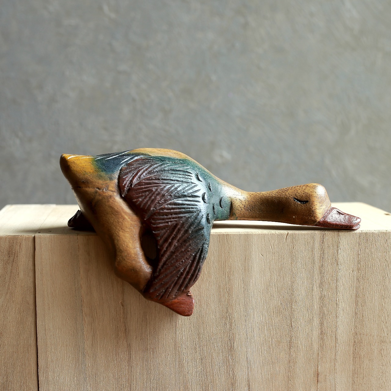 ぐーたらと気持ちよく眠る、味わいある水鳥