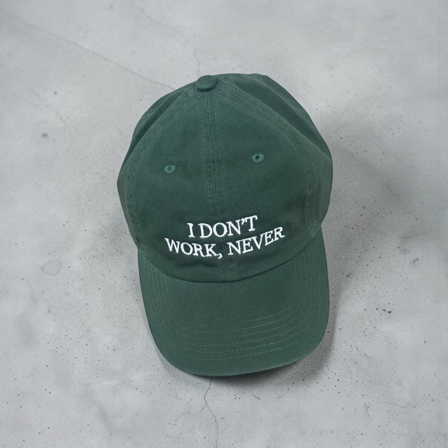 DO NOTHING CONGRESS [NEVER WORK CAP]