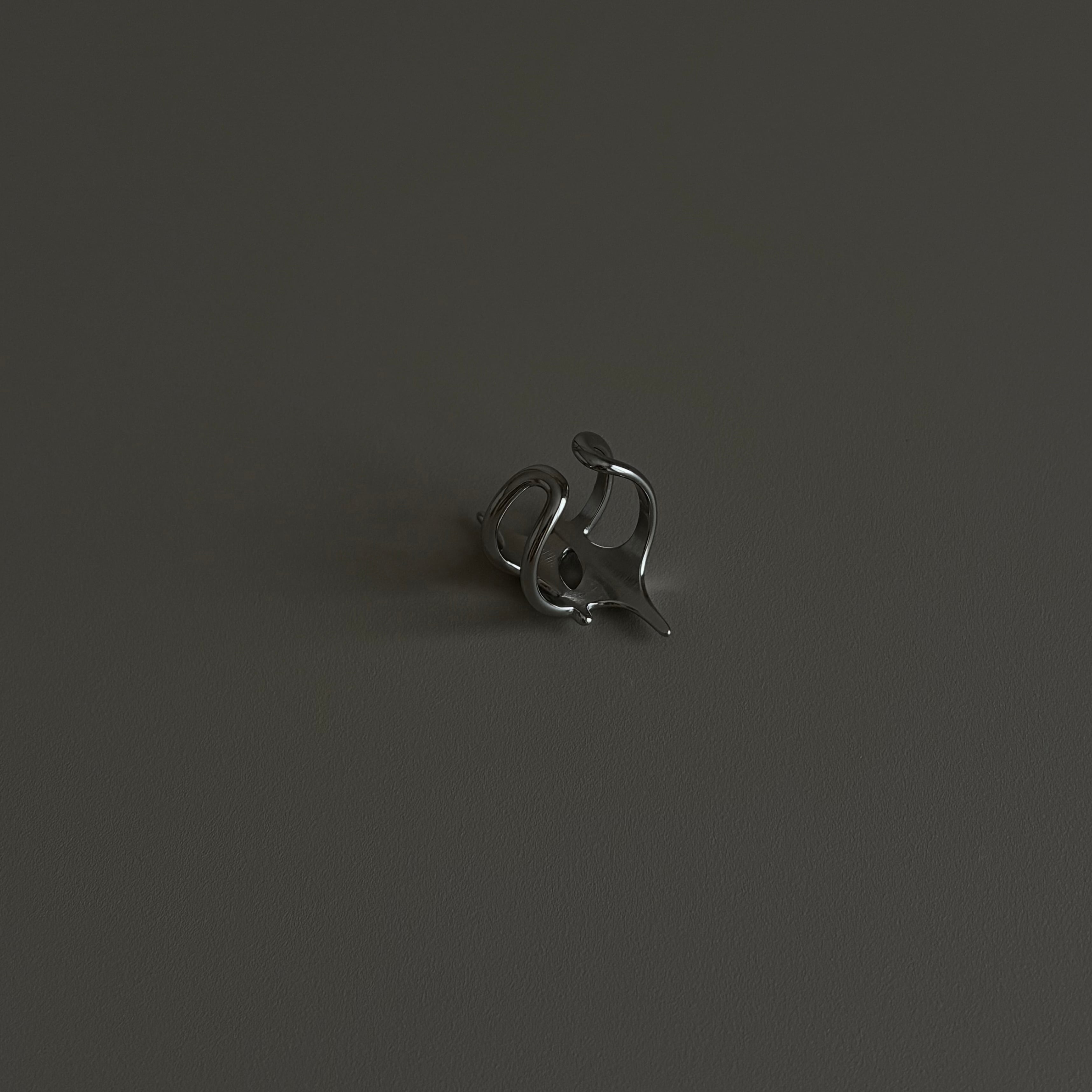 Stainless steel ring #17