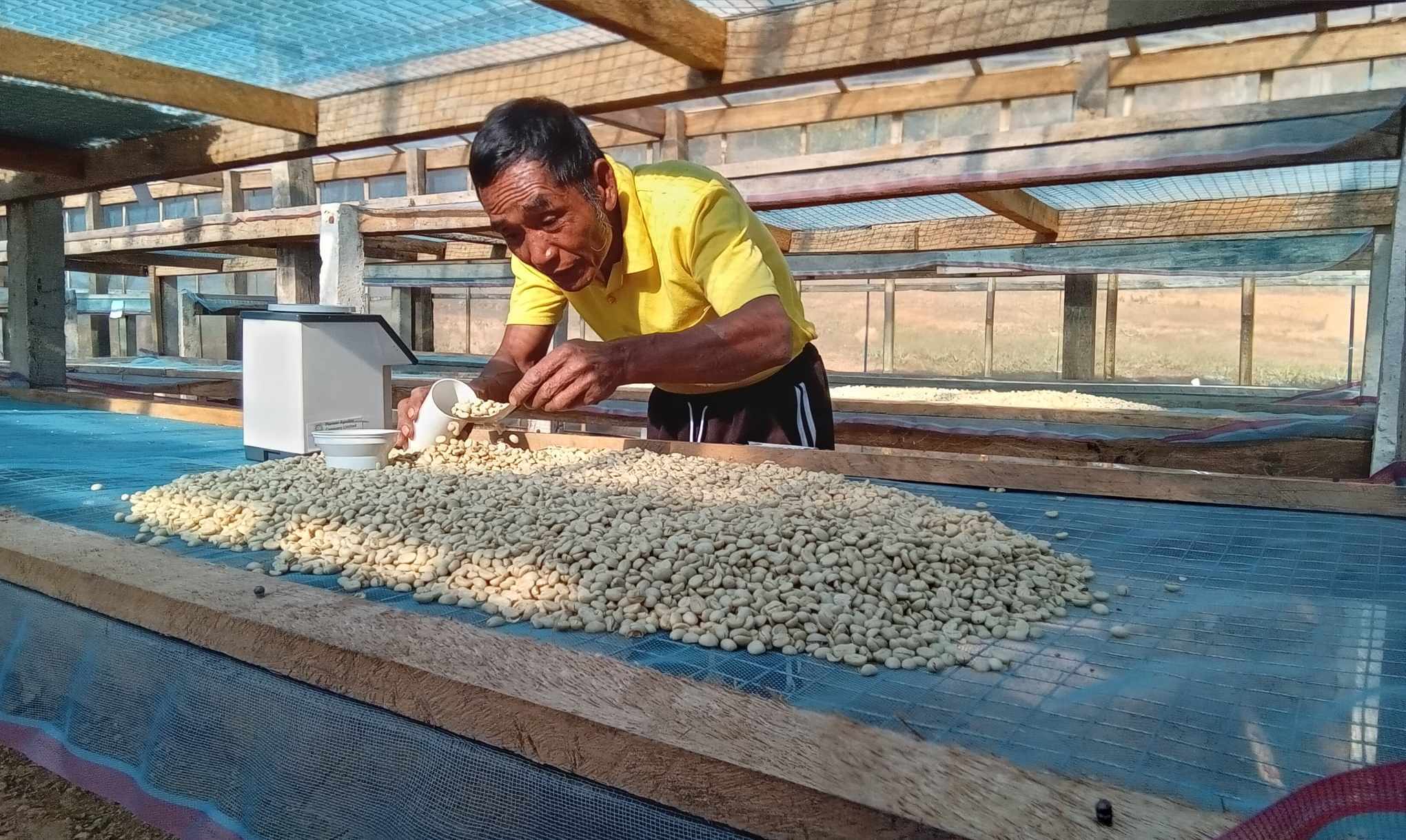 珈琲豆/粉 ミャンマーコーヒー 100g | TPA Myanmar Coffee shop