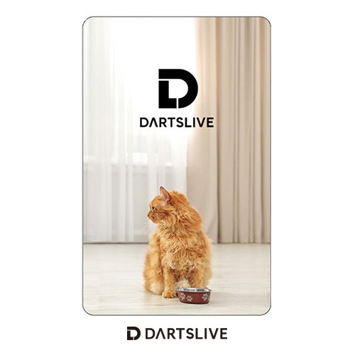 Darts Live Card [171]