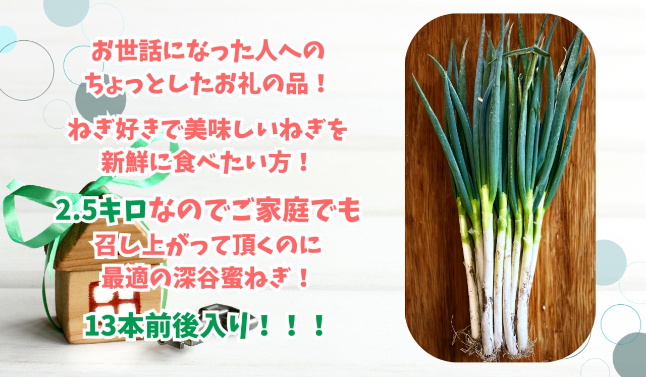 深谷蜜ねぎ2,5キロ