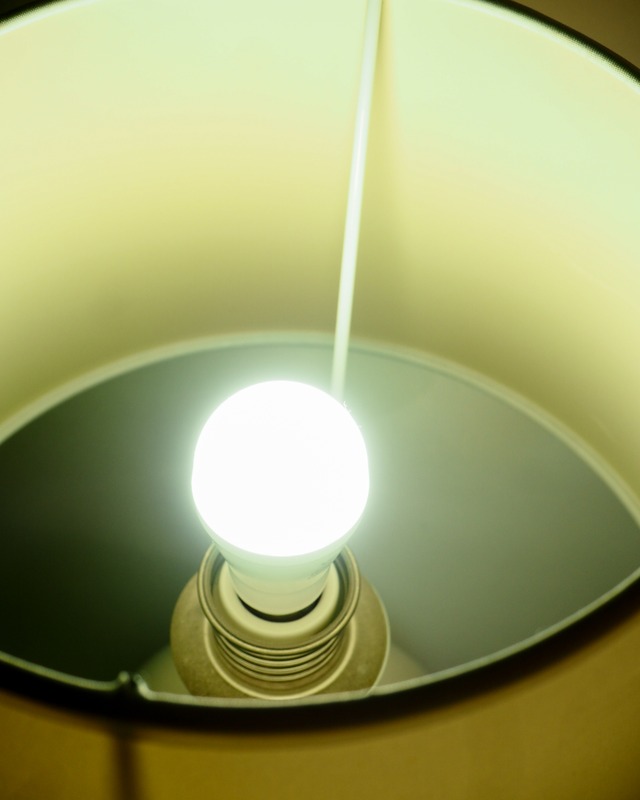 Ceramic lamp with white shade