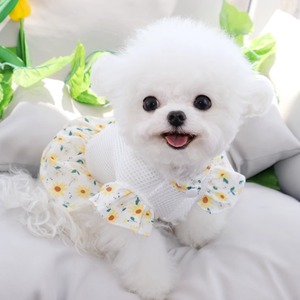 ドッグ 犬 ドッグウェア 室内着 ドレス ワンピース お花 シアー かわいい きれいめ シンプル カジュアル 上品 おしゃれ レトロ エキゾチック 主役級 存在感 ラブリー キュート ベーシック シンプル 花柄 春 夏 女の子 スクール デート お出かけ 旅行 海 プール 公園 休日 バカンス ガーデン レストラン ショッピング 記念日 お花見 カフェ 朝 散歩 ウォーキング 室内 プチプラ 普段使い 清楚 トレンド 流行 インスタ映え 定番 XS S M L XL イエロー ブルー