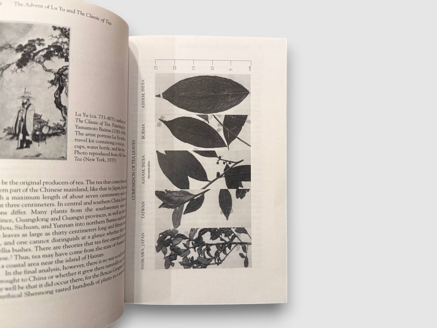 SJ932】【FIRST EDITION】The Japanese Way of Tea: From Its Origins
