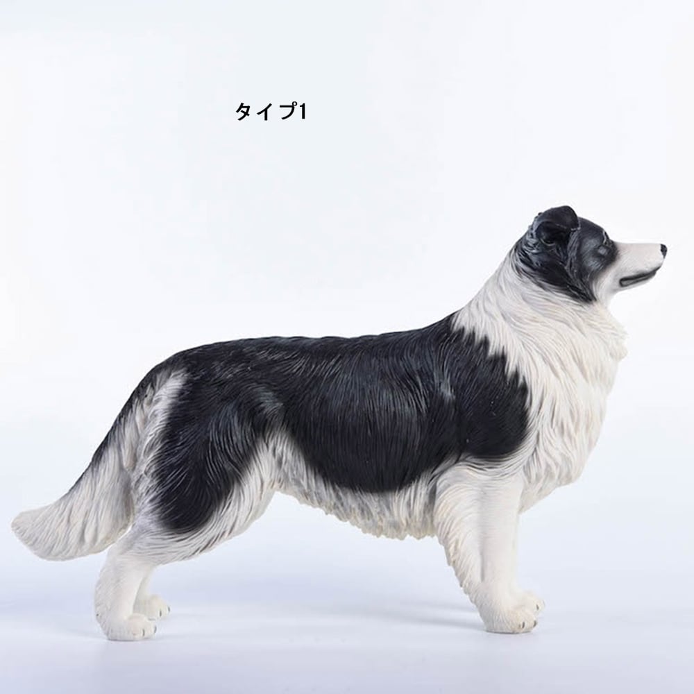 シュタイフ　ボーダーコリー　コルソ ボーダーコリー | yushakennel