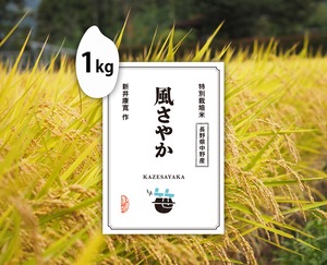 1kg　風さやか（長野県中野産）