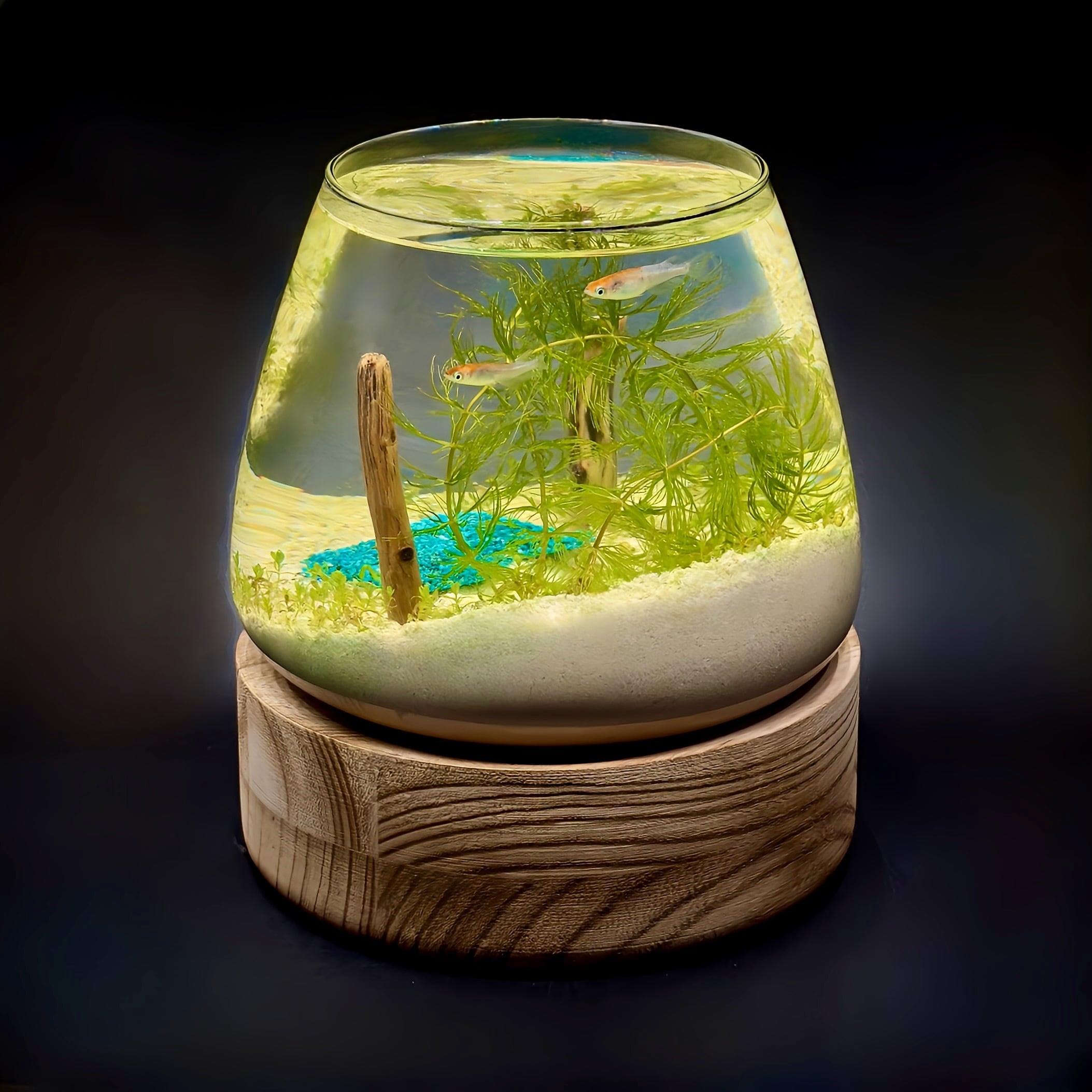 08435996fb0d42612679ef13743099