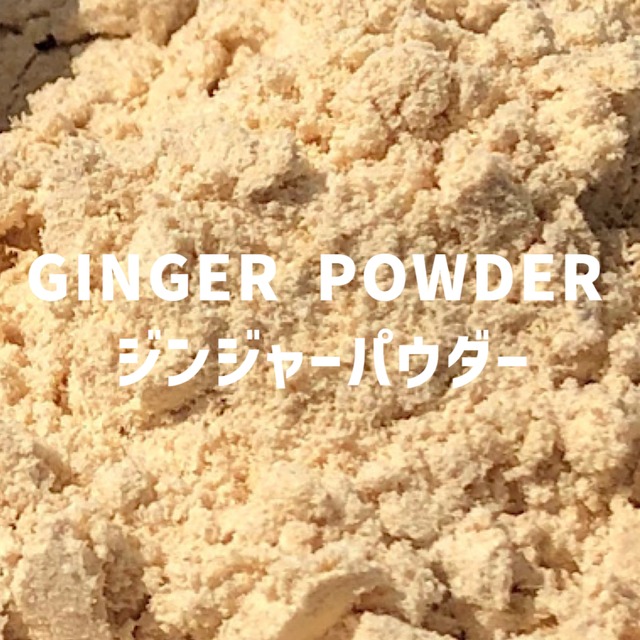 【100g】ジンジャーパウダー 　GINGER POWDER 　Ginger Powder　【パウダータイプ 粉 粉末】 【スパイス 香辛料 調味料 薬膳 料理 味付け 乾燥 ドライ】【nature ナチュール】