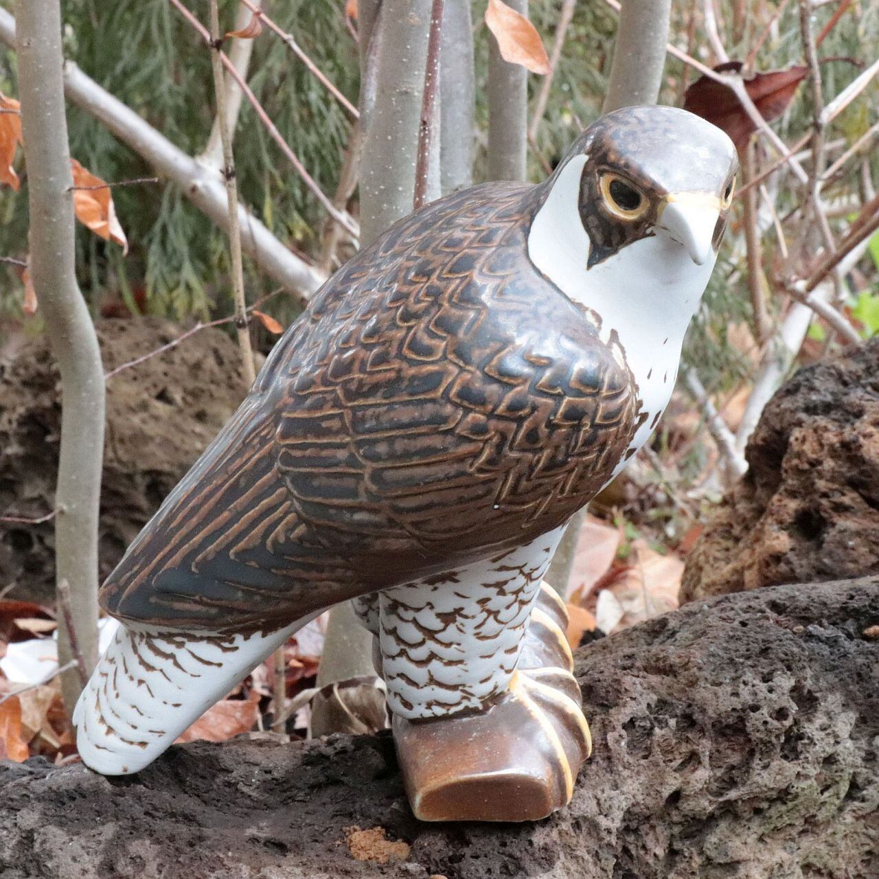 c8347】ハヤブサ（Pilgrimsfalk / Peregrine Falcon） /WWF ［Lisa