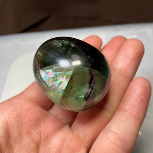 グリーンフローライト　卵