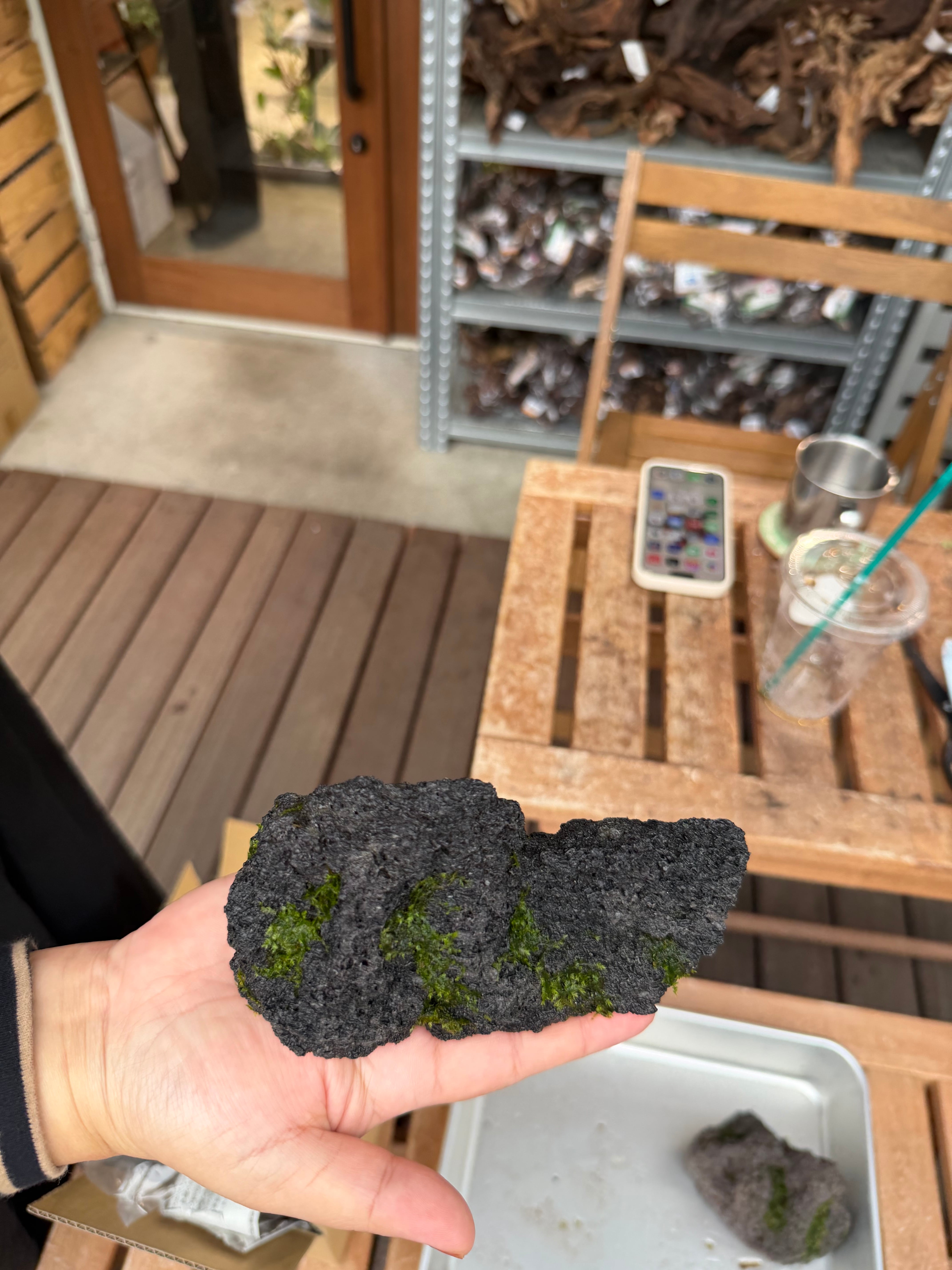 ADA】初登場！モスロック小サイズ！ADA雲山石に初めからウィローモスが