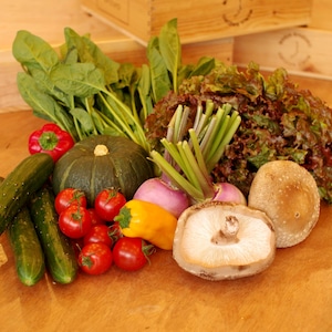 旬の新鮮野菜セット(S)【7〜8種】