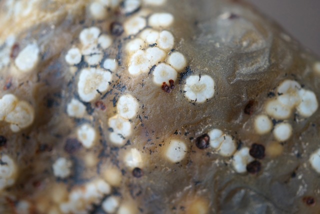 ゴビアゲート Gobi Agate 1125