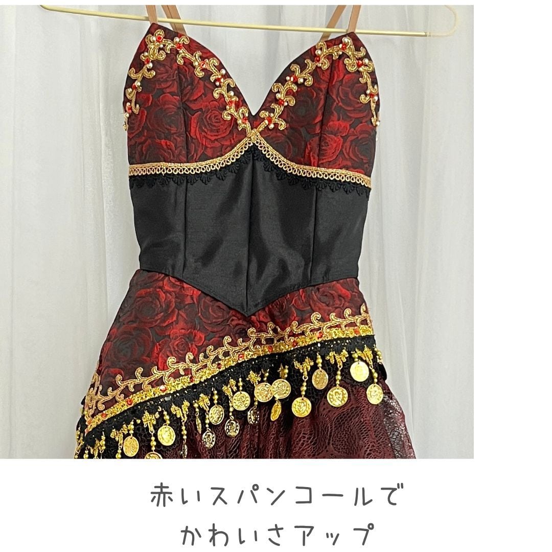 C-50d （中古衣装）エスメラルダ（赤黒）≪バレエ衣装≫ | バレエ衣装