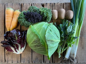 水曜日お届け！畑の野菜セット！