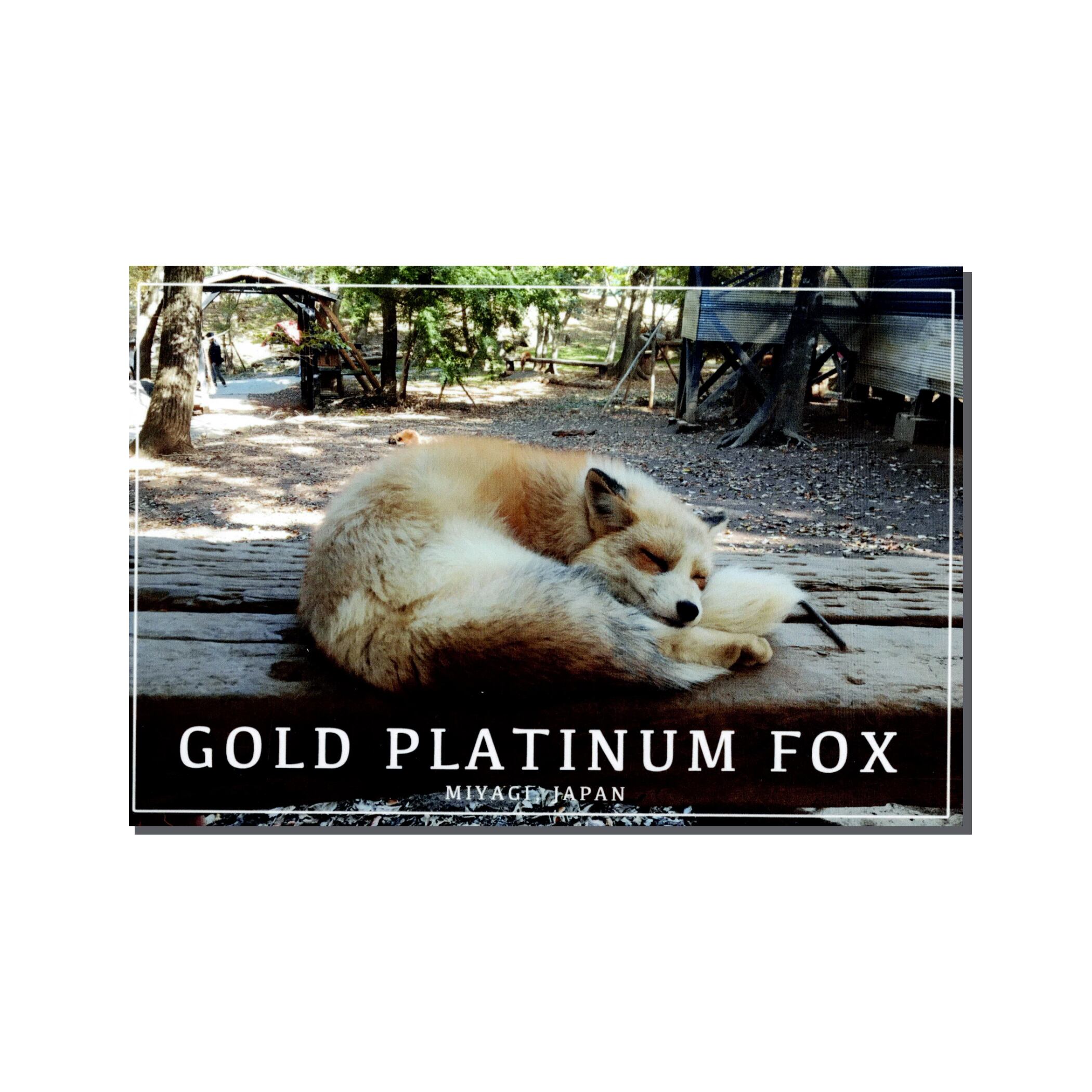 宮城県 茶プラチナキツネ - Gold Platinum Fox in Miyagi | PAY ID