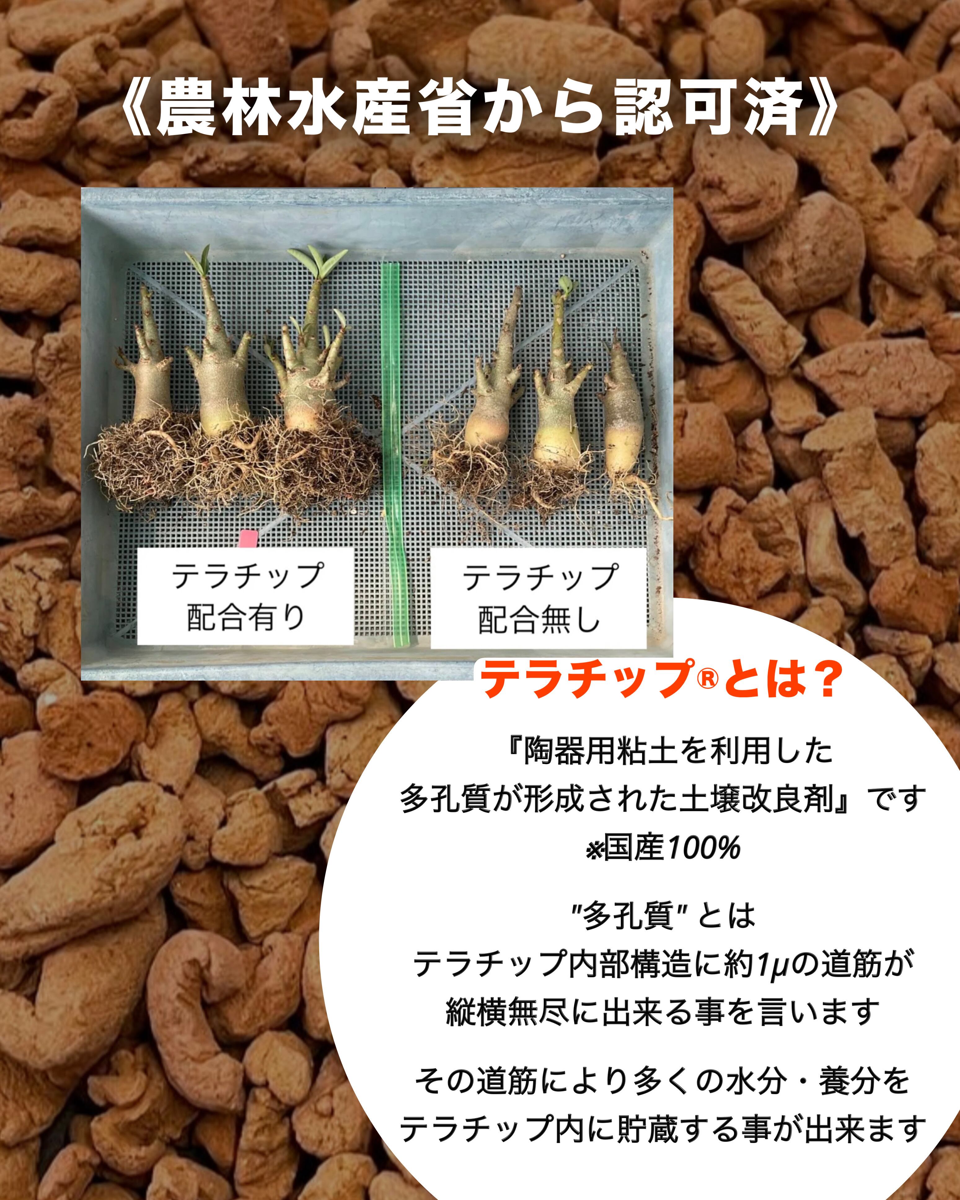 赤焼2L 【テラチップ®︎】 | PAY ID
