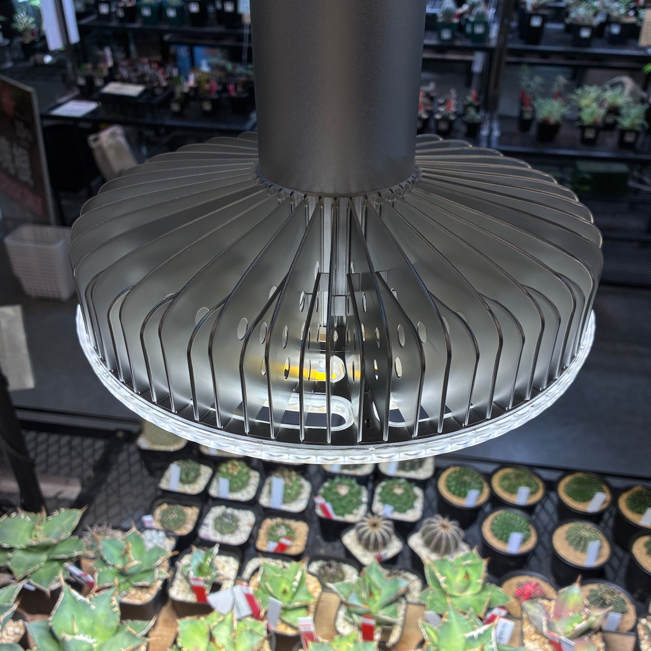 Miracle Punchy 165W 植物育成用LED