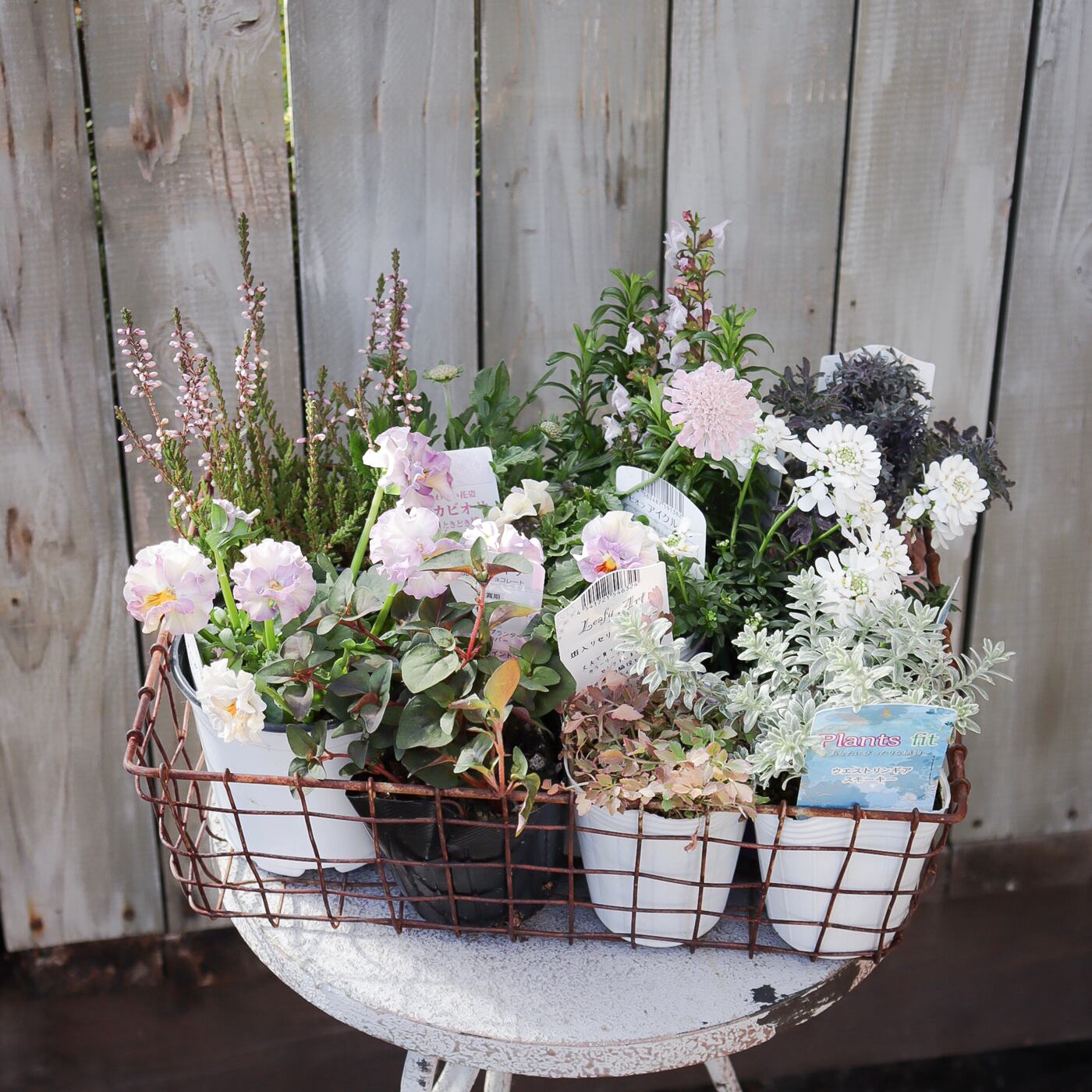 Green heartꕥオンラインショップ