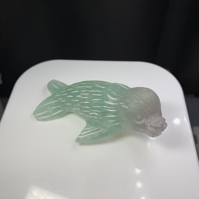 フローライトアザラシ