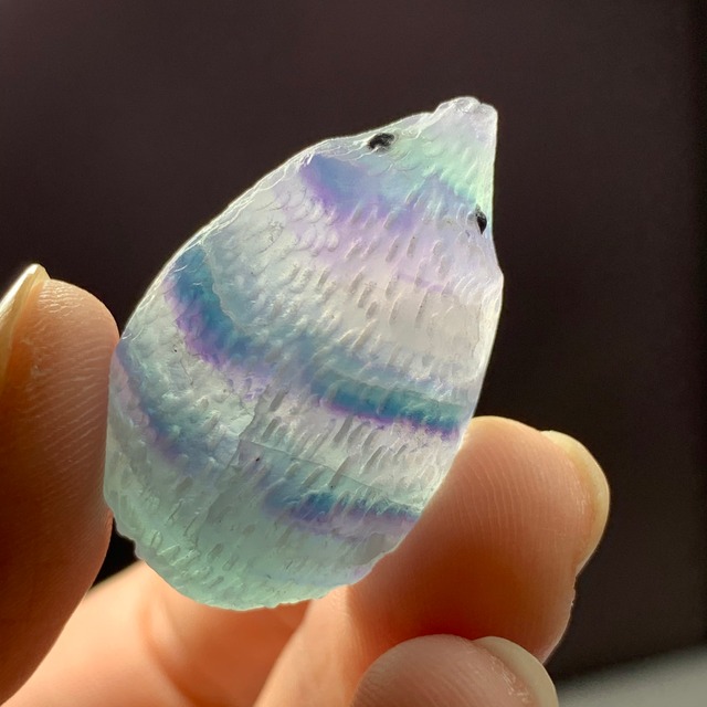 91色合い綺麗なフローライトハリネズミさん