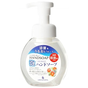 泡ハンドソープ・ポンプ式 ２５０ｍｌ　Ｌ．Ｎ