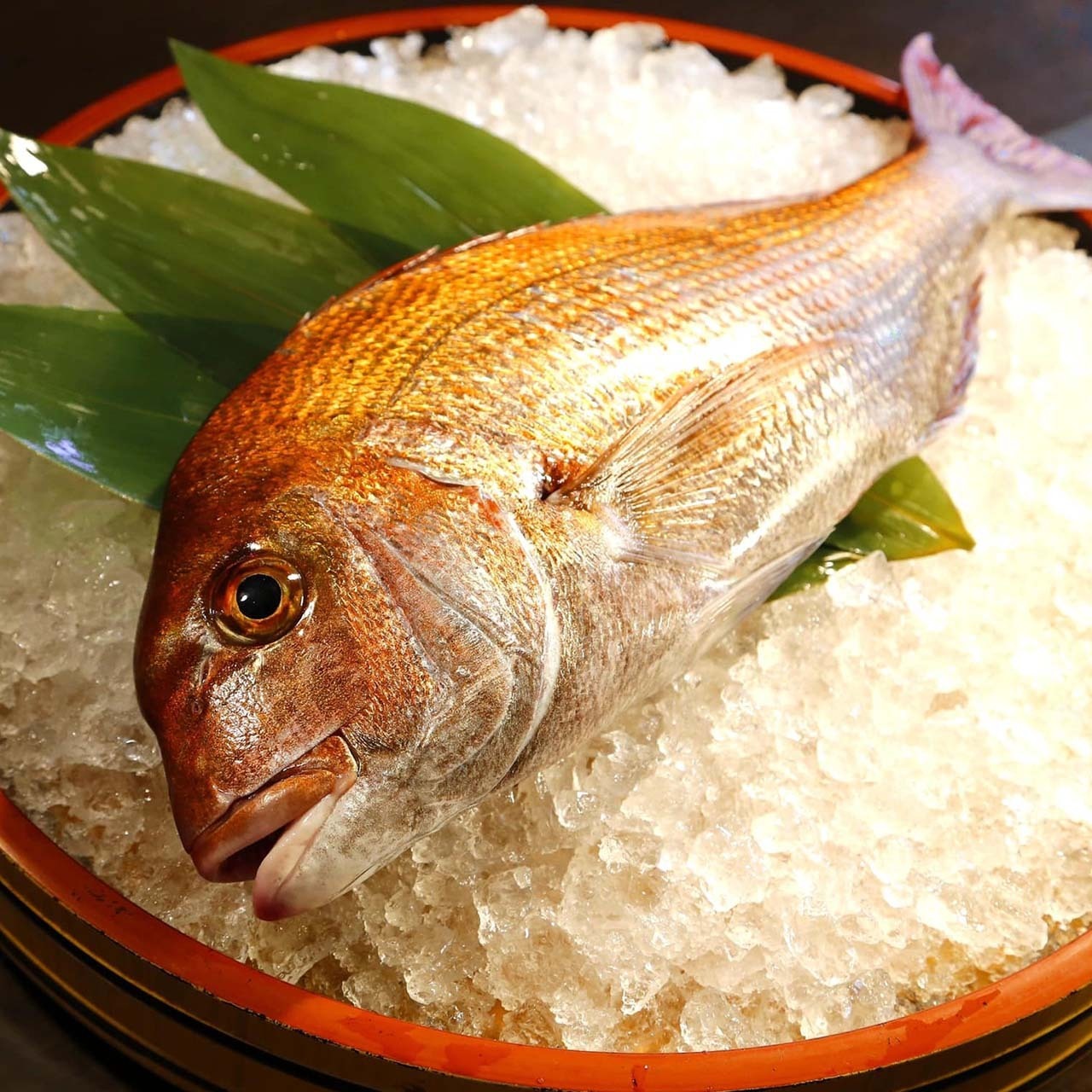 リモートシェフ料理【天然真鯛の姿づくりをZoomで仕上げのお手伝い】