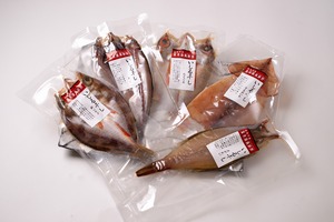 いしる干しセット/５種類【あじ・赤ガレイ・するめいか・柳バチメ・のどぐろ】
