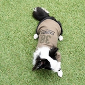 38DOG LOGO EMBROIDERY TEE / KAHKI