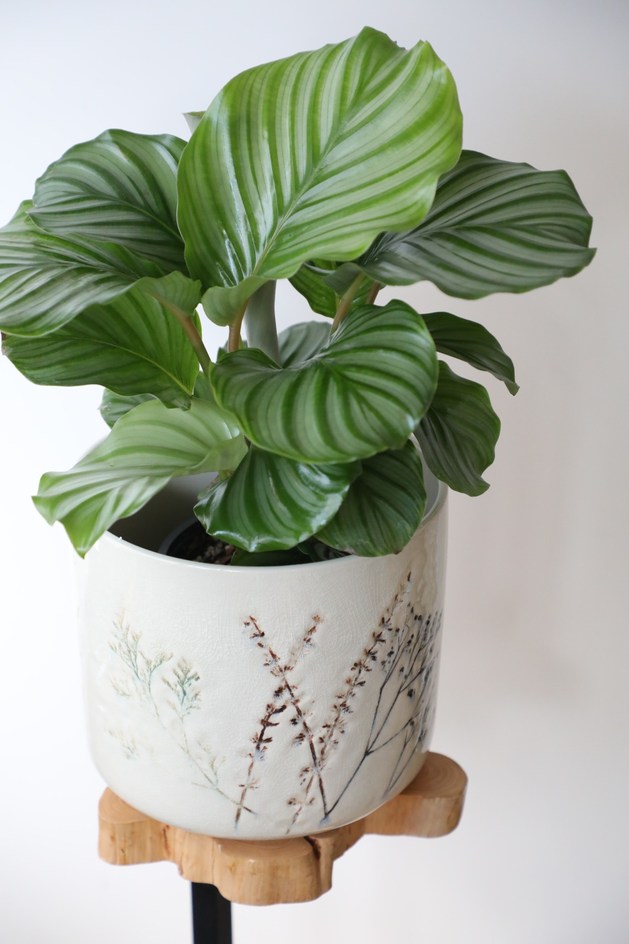 【Bloomingville(Denmark)】【6号】ベア pot