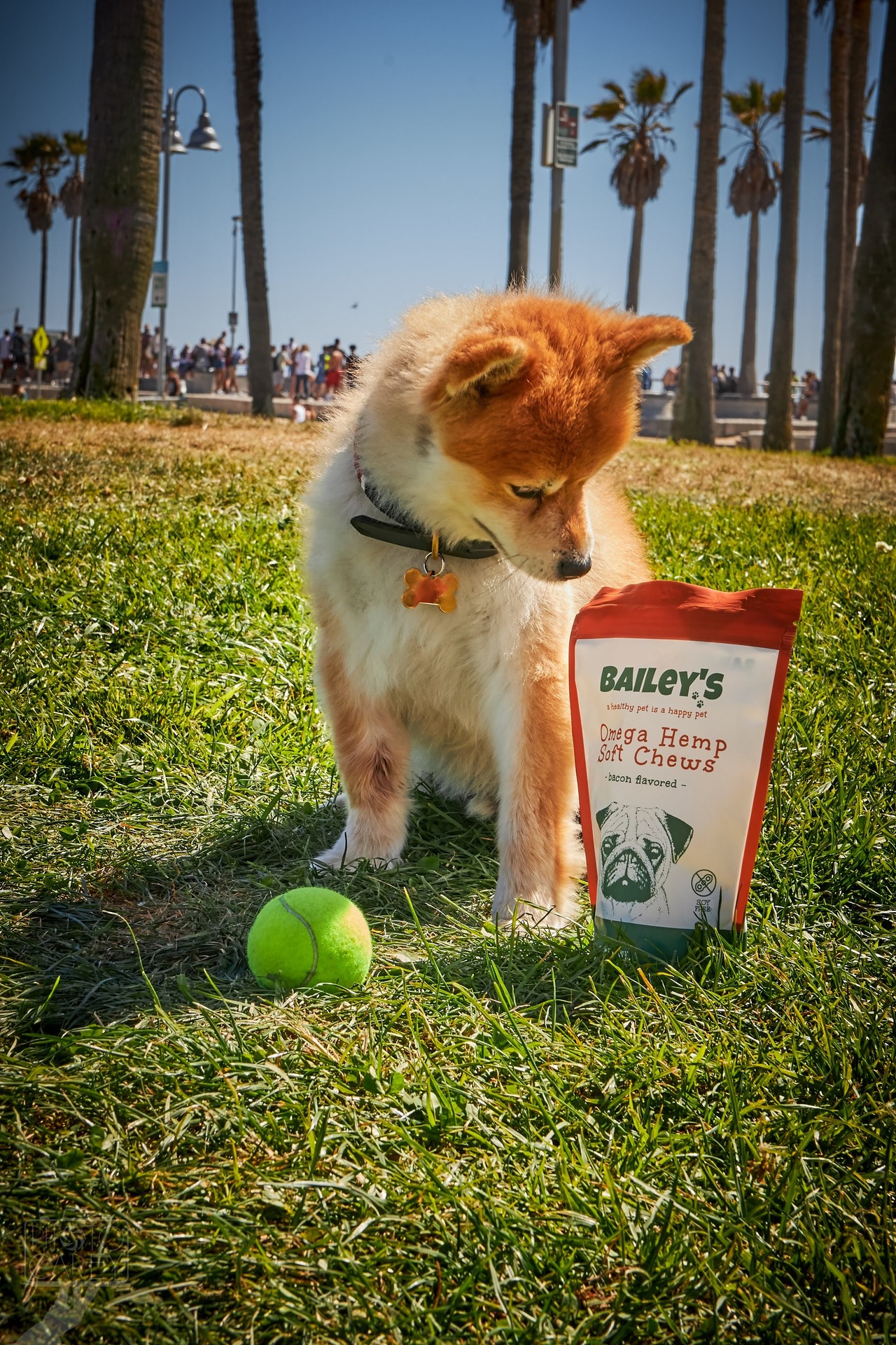 【おやつdeサプリ そふとちゅ～】ピーナッツバター＆バナナ味 - 5個入 -