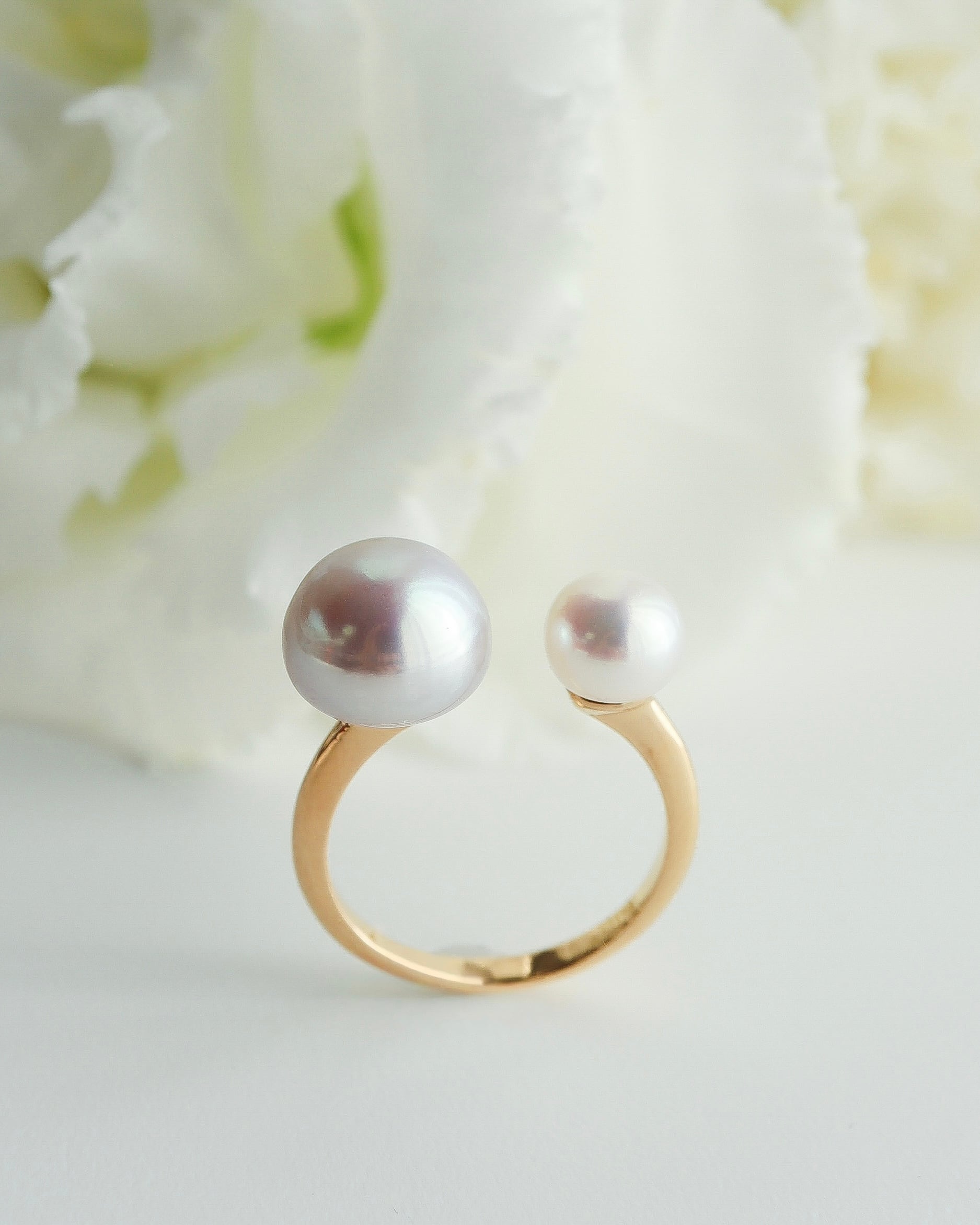 RiLLibijou