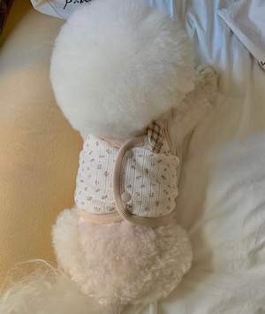 【seenii】pipo! crop top (beige)