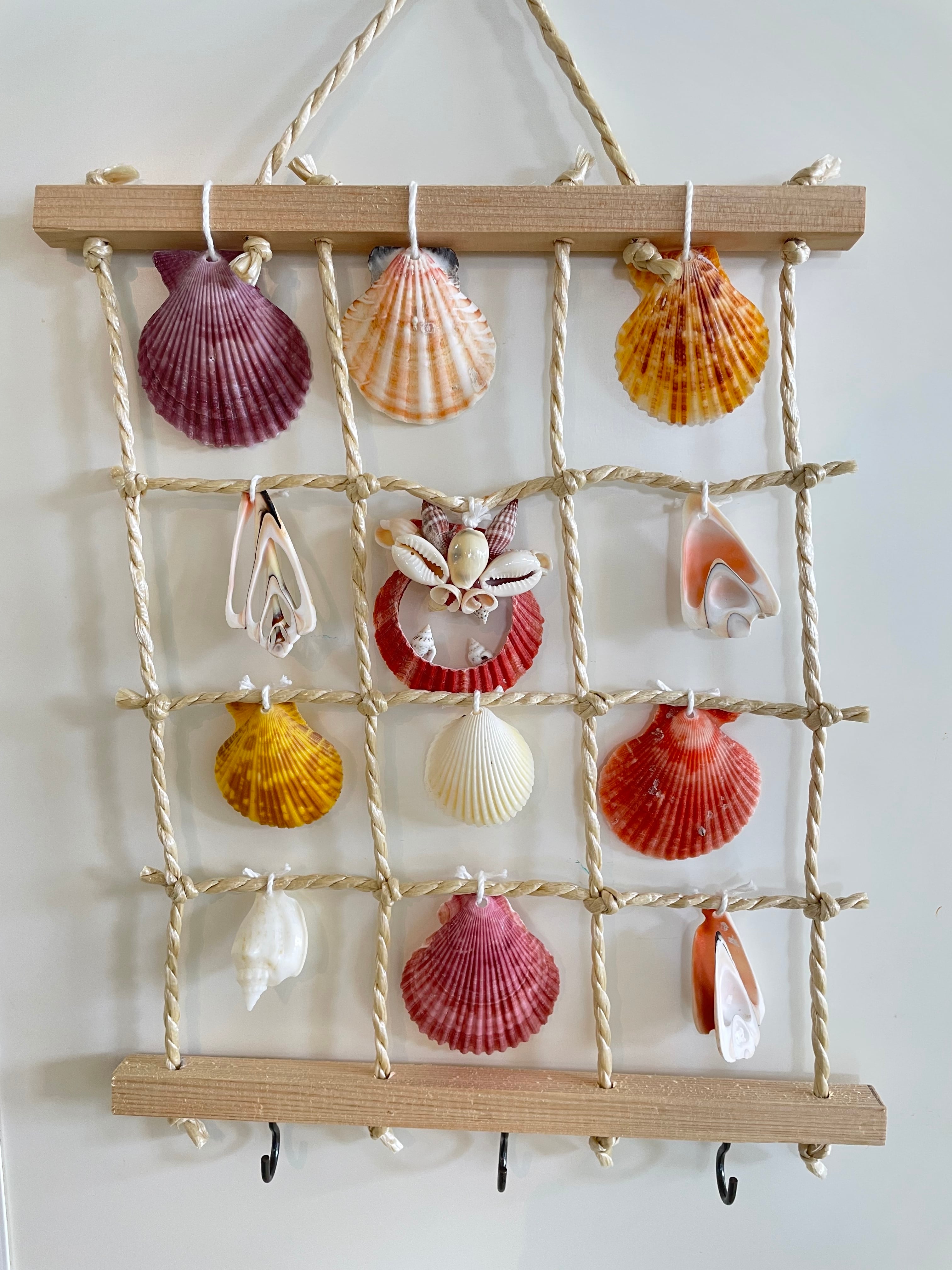 安産のお守り】子安貝 | Kaihoukan