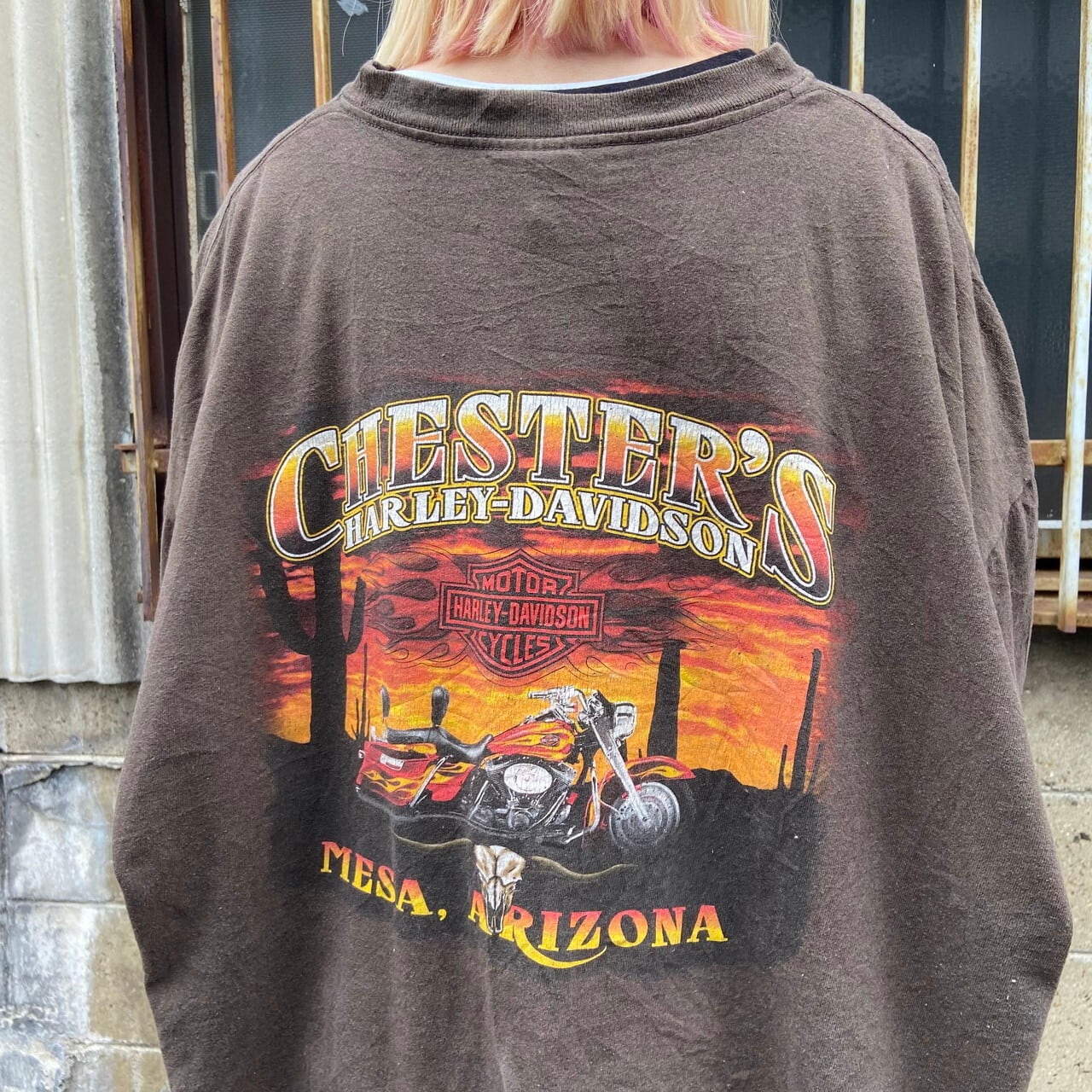 スーパービッグサイズ 00年代 USA製 Harley-Davidson ハーレーダビッドソン フロントロゴプリント Tシャツ メンズ3XL 古着  ヘビ 00s ビンテージ ヴィンテージ 両面プリント バックプリント モーターサイクル バイクTシャツ ブラウン 茶色  大きいサイズ【Tシャツ】【VC】 ...