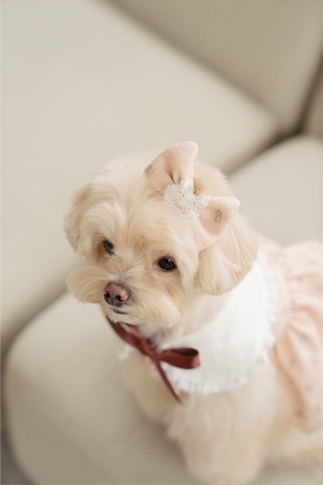 予約  【pecoramou select】Vintage rosé hairpin