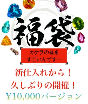 【¥10,000バージョン】1人1つまで！新仕入れの還元福袋  ［No.K-504］