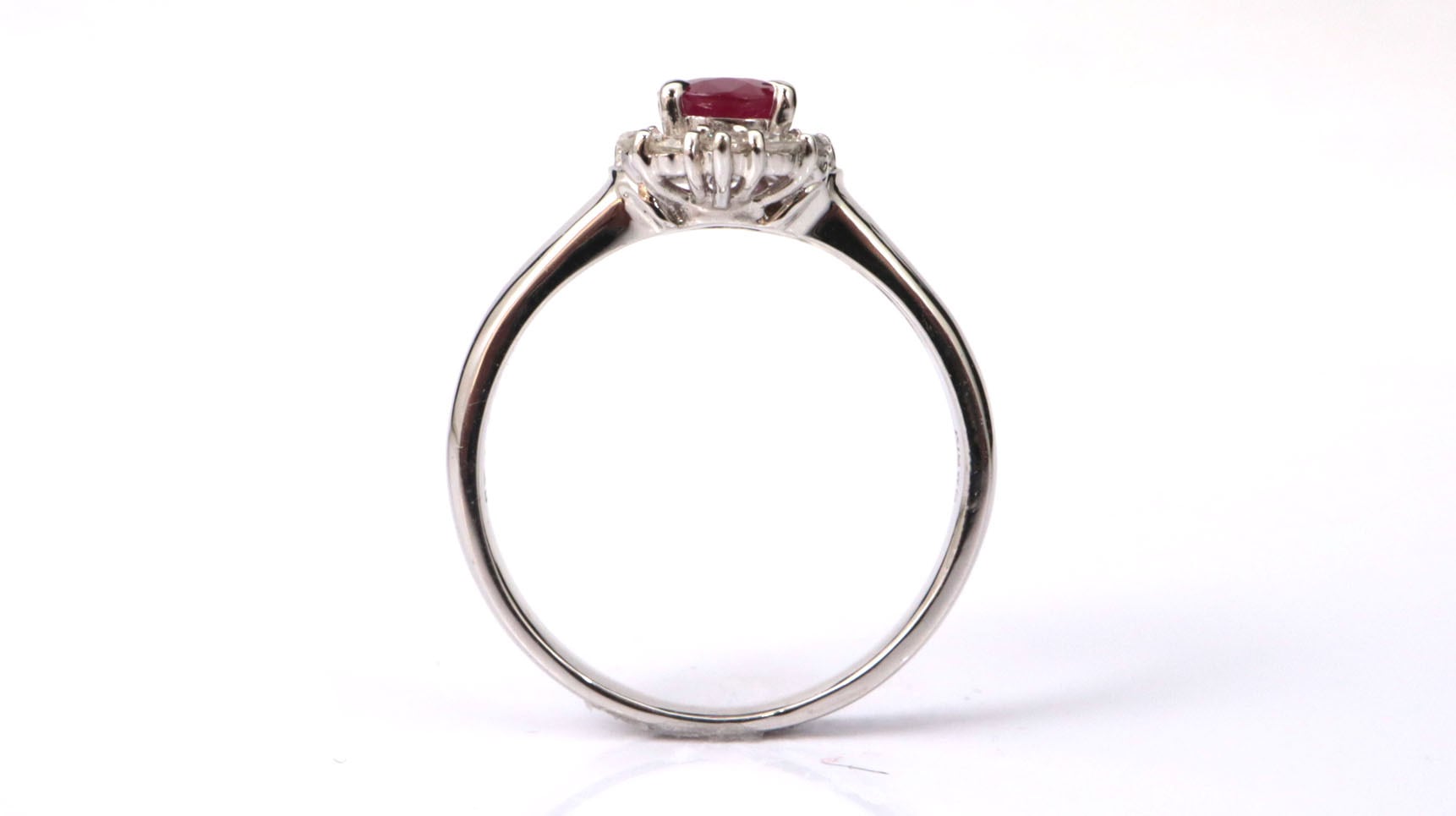 ダイヤモンドポルカ メス 発送可能 熱帯魚水槽⑼