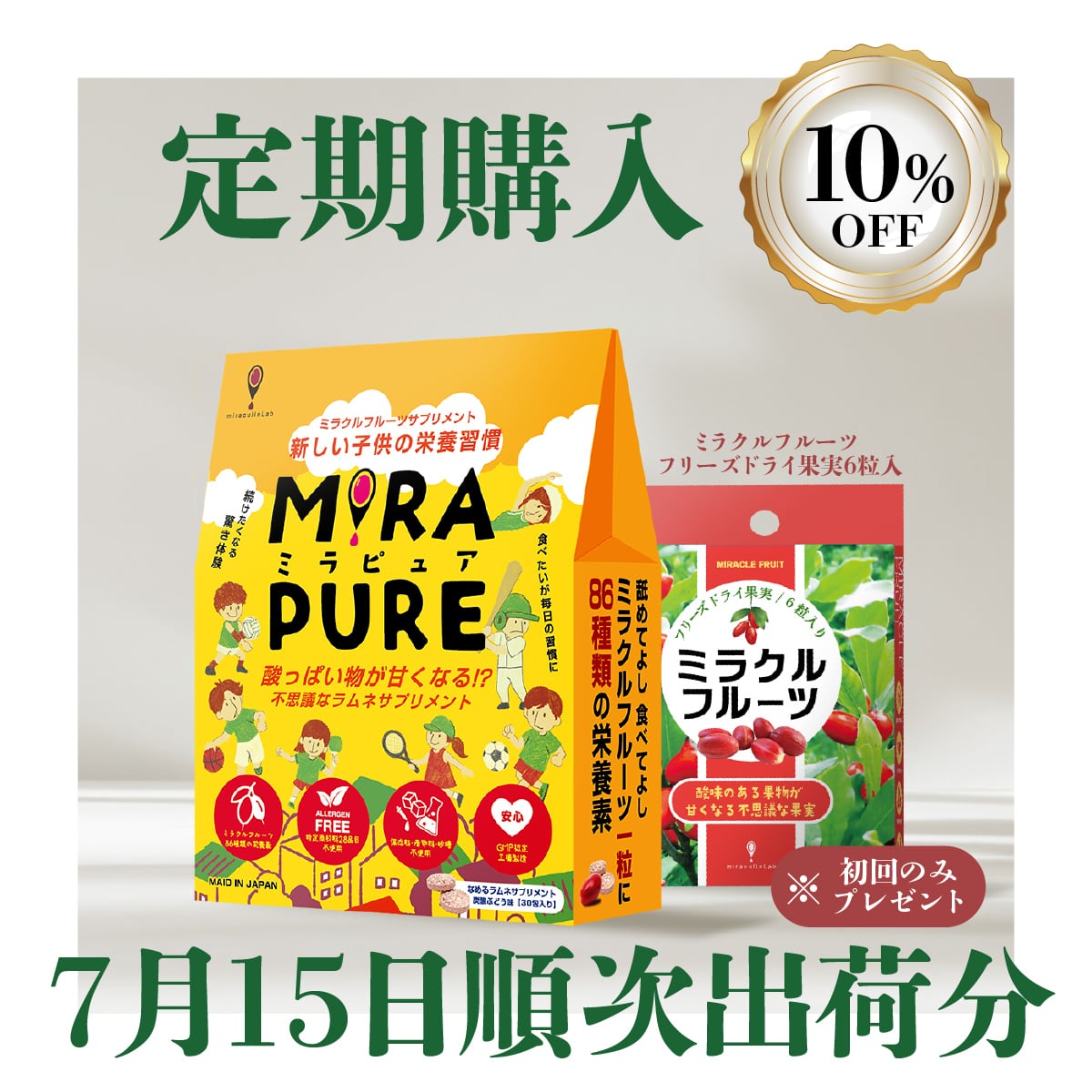 ト*ノ様 ミラクルフルーツ　酸味を甘味に変える 熱帯果樹 つぼみ付 生育年数約1 定期購入【7月1日～順次発送開始！】10%OFF＋初回ミラクルフルーツ