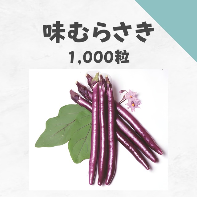 味むらさき　ナス種子・1,000粒