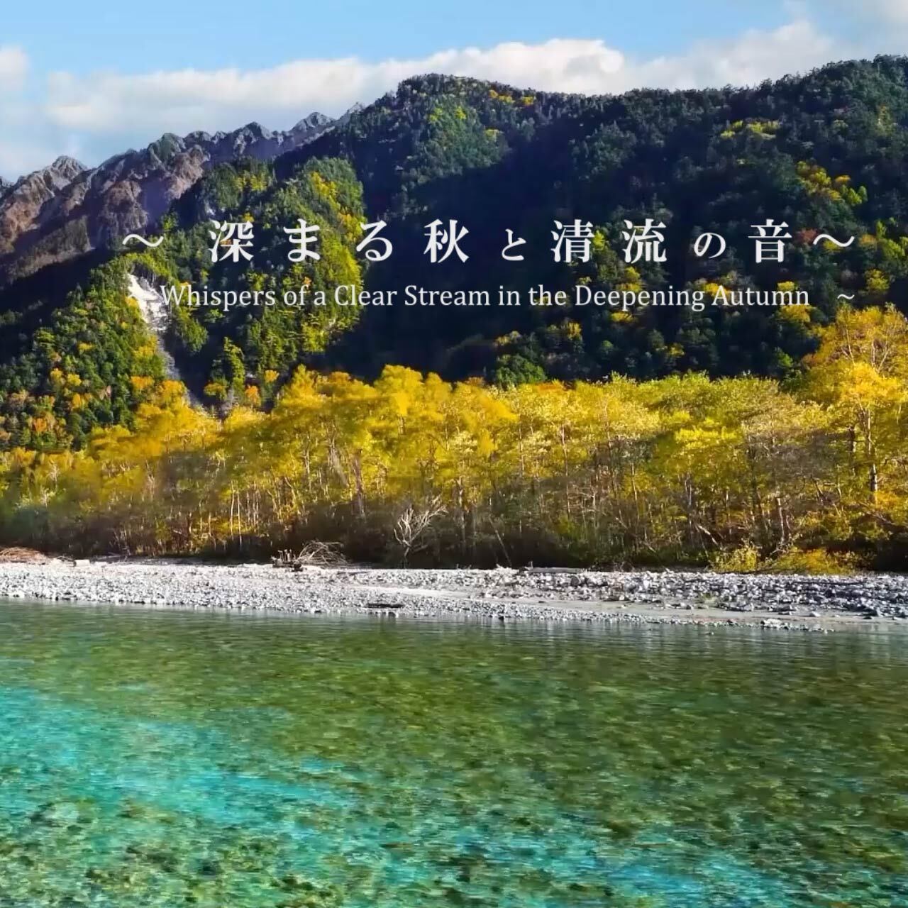 深まる秋と清流の音｜癒しの自然音・川のせせらぎ・勉強や睡眠・瞑想用