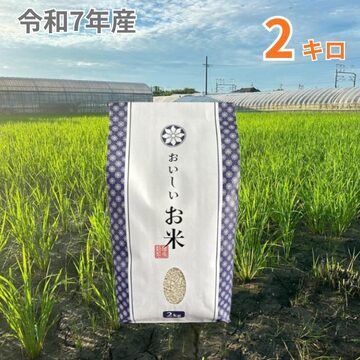 忘れられない風味のいいもち米 「緑米」 玄米＋精米 セット 240g×2 令 