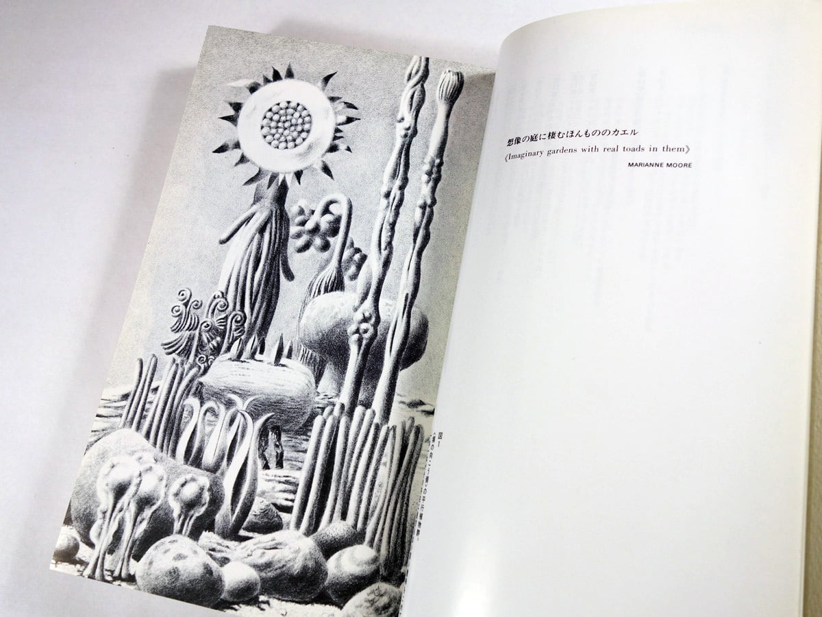 平行植物（レオ・レオーニ 著、宮本淳 訳） | bookstore ナルダ