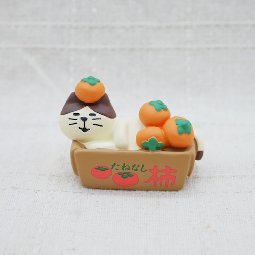 【concombre】箱好き猫 / 柿